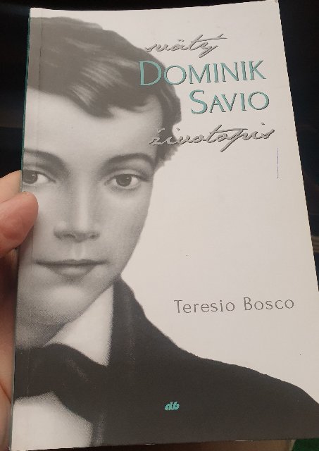 Don Bosco: V mene Panny Márie mu ručím, že sa nenakazí!!!! Len nech si každý zachová posväcujúcu milosť...