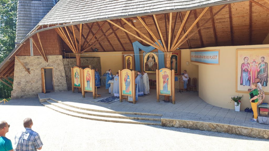 Litmanova-hora-zvir-sdzr