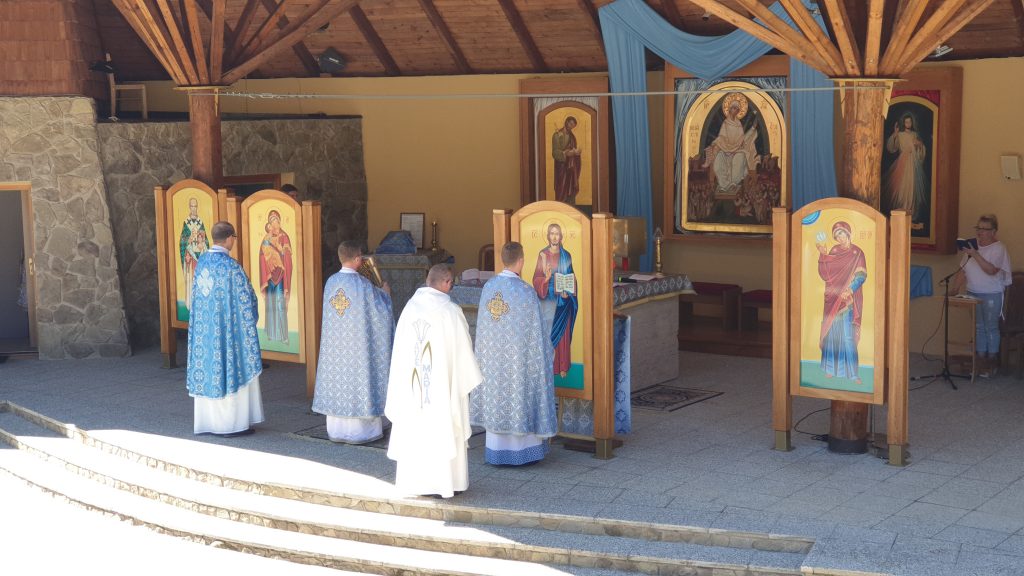 Litmanova-hora-zvir-sdzr