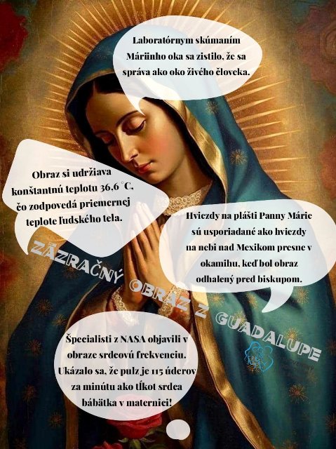 Vedci z NASA vs. obraz Panny Márie z Guadalupe